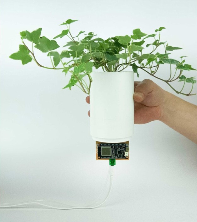 Biobulb uses Artificial Intelligence to monitor ideal growing conditions. Photo credit: Creo