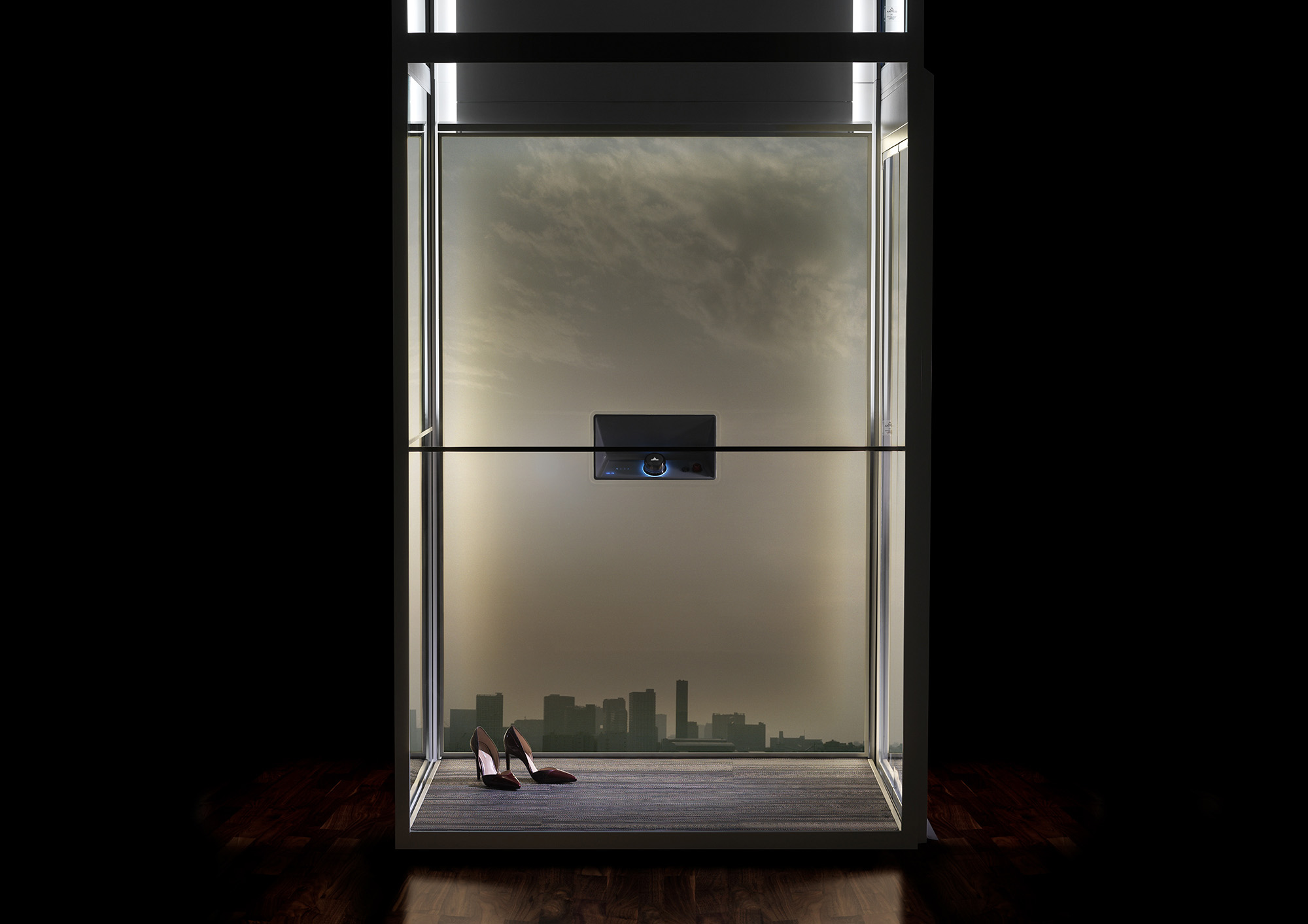 Aritco home lift with a DesignWall of a Skyline