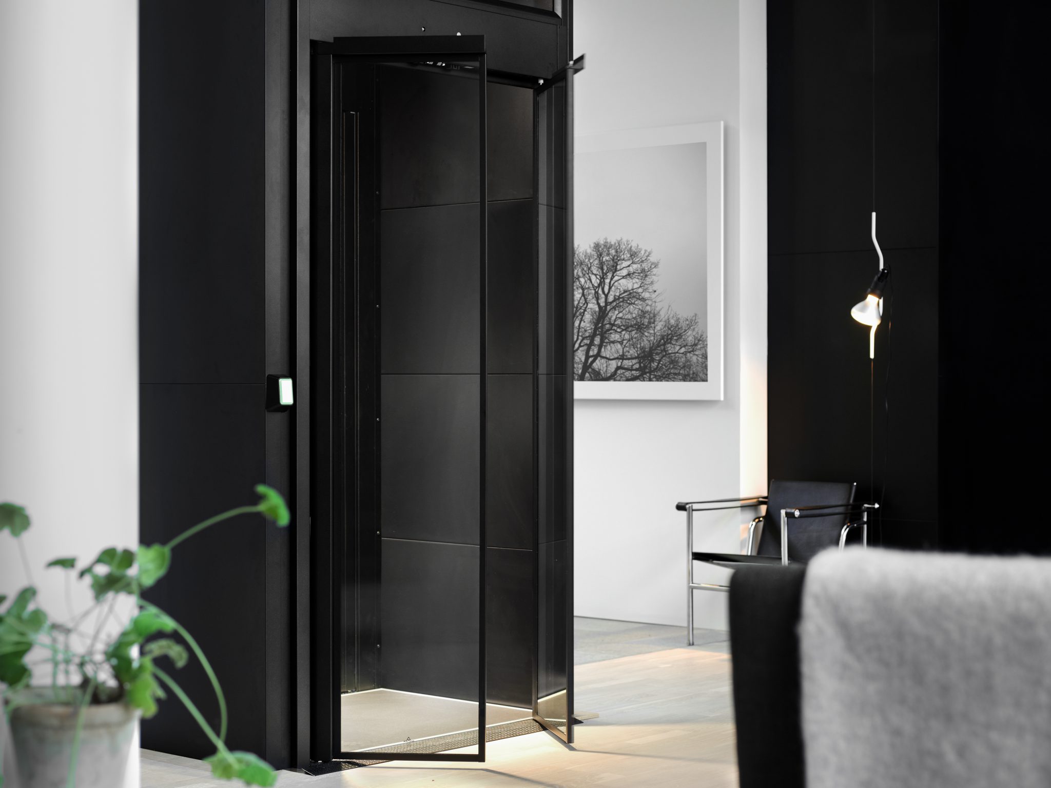 Home elevator in living room